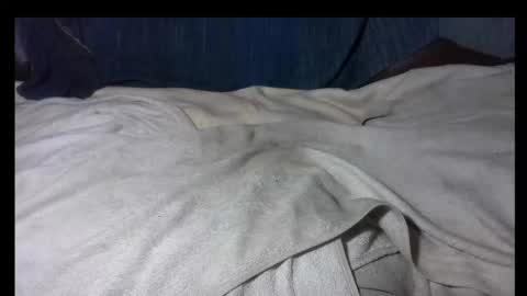 Snapshot of zakilandi chatting on November 2025 01:48:01 PM pollasucia13 online show from November 2025 01:48:01 PM