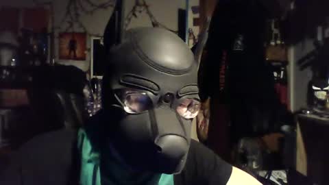 ZanePup online show from June 2026 07:47:02 AM