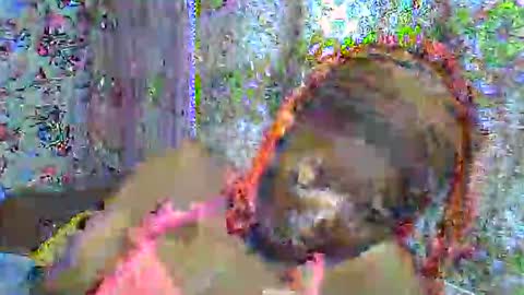 zarinamarlin online show from April 2026 06:00:02 AM