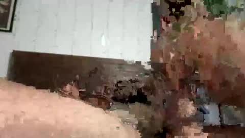 zayden online show from October 2025 07:07:02 AM