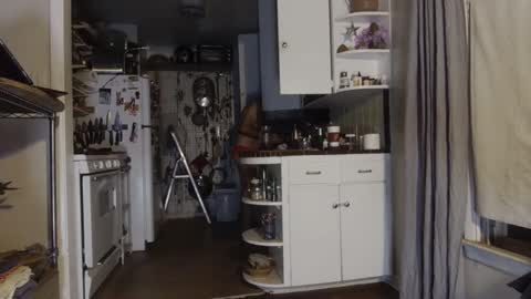 Snapshot of zed_alpha chatting on September 2025 10:25:02 AM zed_alpha online show from September 2025 10:25:02 AM