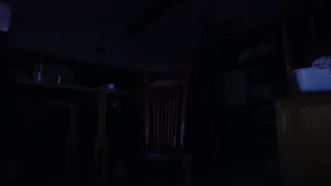 Snapshot of zed_alpha chatting on March 2026 08:52:01 AM zed_alpha online show from March 2026 08:52:01 AM