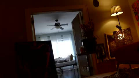 zedlav4 online show from November 2025 09:50:01 PM