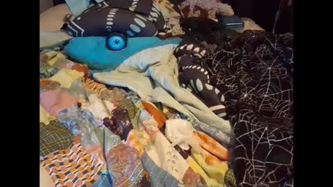 zero online show from September 2025 06:53:01 PM