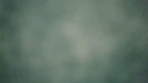 zobilov online show from December 2024 06:50:02 AM