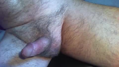 Snapshot of zokalo chatting on February 2026 11:50:01 AM zokalo online show from February 2026 11:50:01 AM