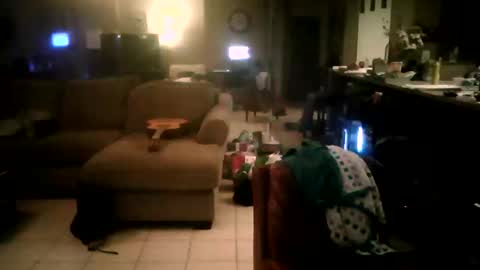 zooroxxx101 online show from April 2026 08:06:01 AM