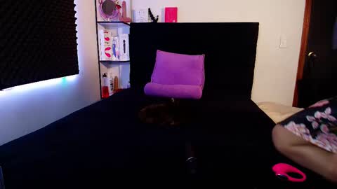 zpzphot online show from February 2026 04:42:02 AM