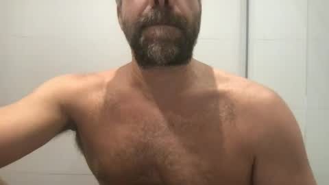 Snapshot of zwetty chatting on June 2026 08:00:02 PM zwetty online show from June 2026 08:00:02 PM