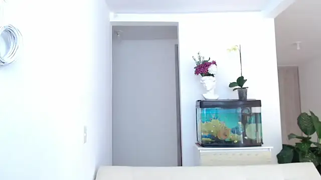 adrian morelly online show from March 2025 08:04:01 PM