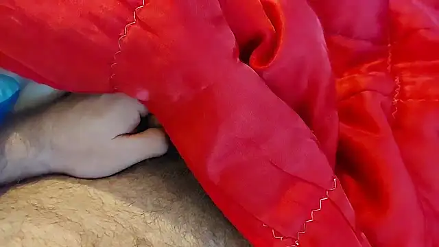 Snapshot of Ettarak chatting on February 2026 12:14:02 AM Ettarak online show from February 2026 12:14:02 AM