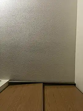 BustiBunny69 online show from March 2026 12:04:01 AM