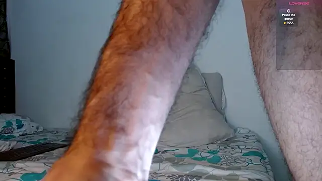 bear 97s online show from September 2025 01:50:01 AM