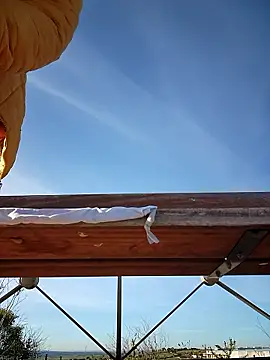 bellapaty online show from March 2026 08:04:01 AM