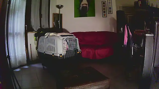 Sabrina-Palermo online show from January 2026 12:31:01 PM