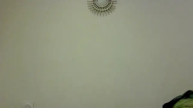 feline27 online show from October 2025 08:49:02 PM