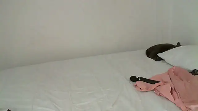 salome  milf online show from February 2025 12:30:01 AM