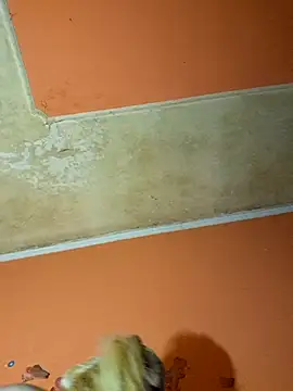 ducicsajsziii online show from December 2024 11:03:01 PM