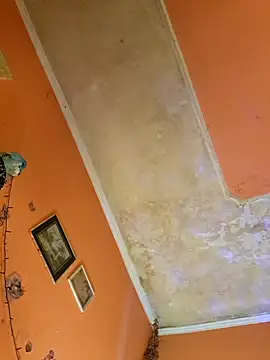 ducicsajsziii online show from January 2025 07:25:01 AM