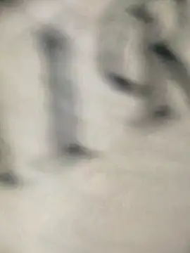 Snapshot of bruna_safadinhaa chatting on February 2025 11:46:02 AM bruna safadinhaa online show from February 2025 11:46:02 AM