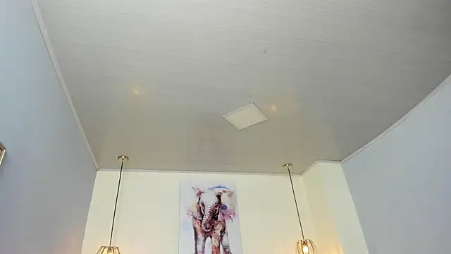 ayshel   online show from April 2026 03:35:01 AM