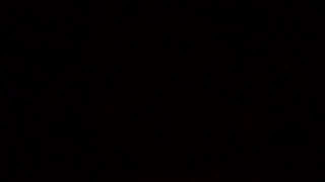 Snapshot of littleone01234 chatting on September 2025 10:14:02 PM littleone01234 online show from September 2025 10:14:02 PM