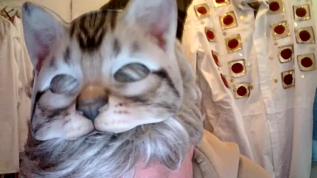 Sigorius online show from March 2026 03:41:01 PM