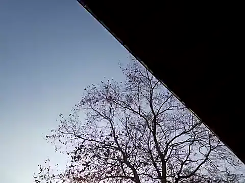 Mia Railey online show from March 2025 03:49:02 PM