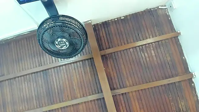 emily-fox online show from April 2026 11:05:01 AM