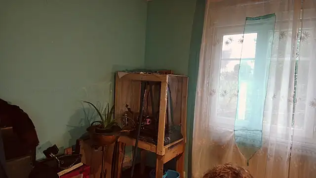 Prxscillia Tx online show from December 2024 08:20:01 AM