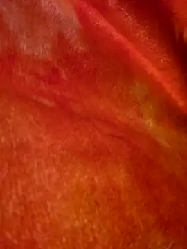 Snapshot of SmokeShow686 chatting on March 2025 01:50:02 PM SmokeShow686 online show from March 2025 01:50:02 PM