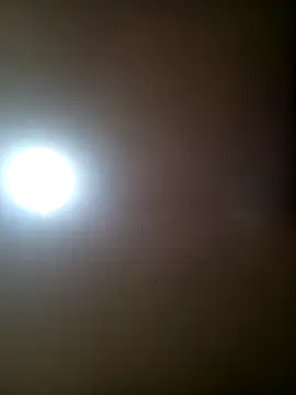 TrainedFinder5 online show from November 2025 11:49:02 PM