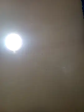 TrainedFinder5 online show from November 2025 11:24:01 PM