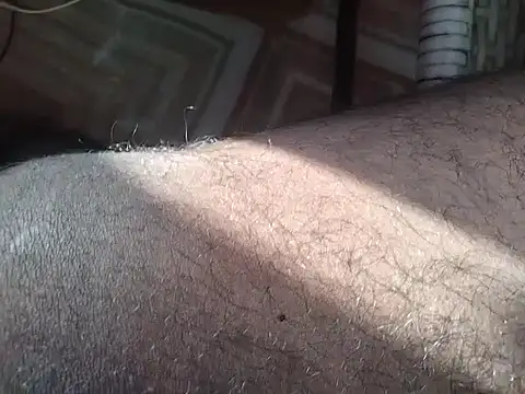 damsexy4 online show from April 2026 01:55:01 AM