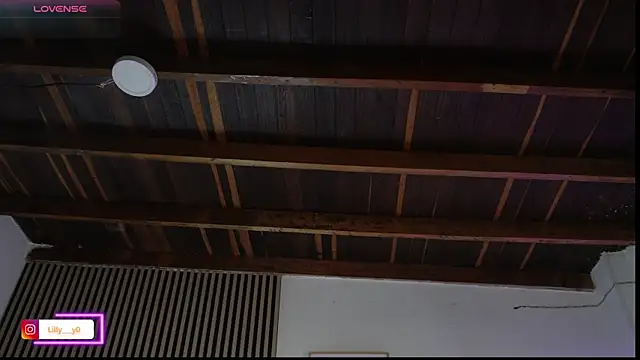 LillyDolls23 online show from February 2026 01:09:02 PM