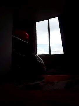 Cameron puppy online show from November 2025 08:38:02 PM