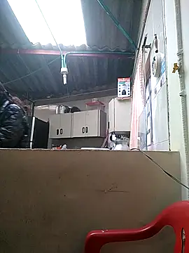 Cameron puppy online show from March 2026 06:12:02 PM