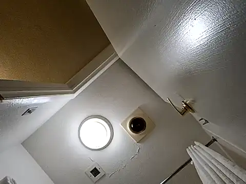 Snapshot of Treemandude chatting on October 2025 02:36:02 AM Treemandude online show from October 2025 02:36:02 AM