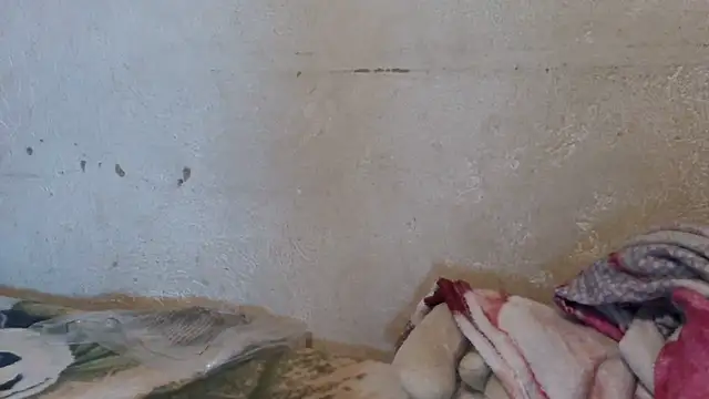 Snapshot of kendalkitty1 chatting on December 2024 02:39:02 PM kendalkitty1 online show from December 2024 02:39:02 PM