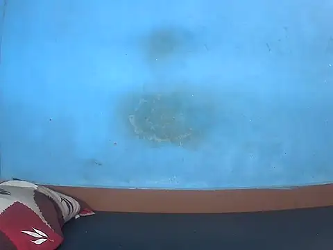 Snapshot of kannamu99 chatting on November 2025 04:29:02 AM kannamu99 online show from November 2025 04:29:02 AM