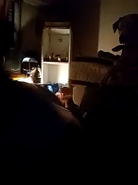 gala2 online show from March 2025 06:42:02 AM