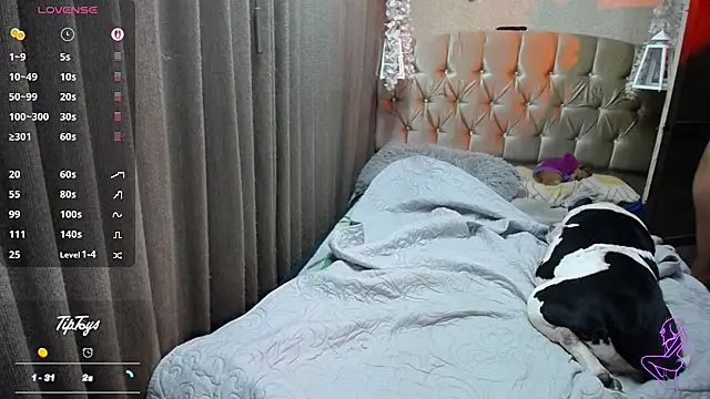 Dreams sophi online show from July 2026 01:22:01 AM
