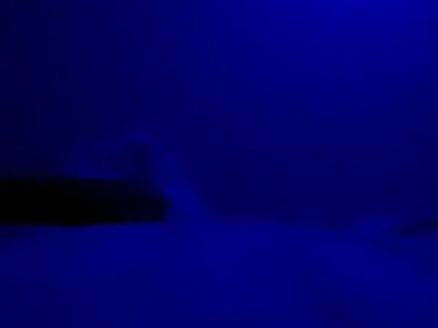 Blkstylion online show from November 2025 08:22:01 PM