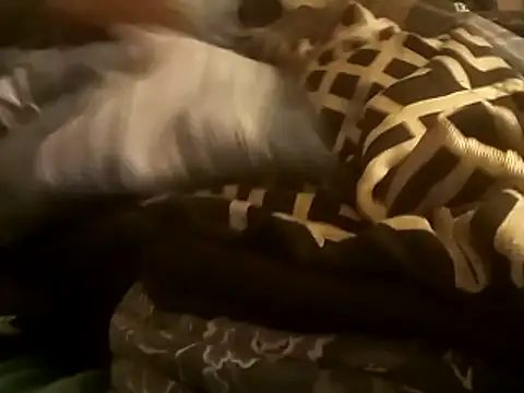 Blkstylion online show from December 2025 02:50:01 AM