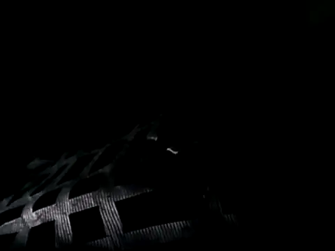 Blkstylion online show from July 2026 12:08:02 PM