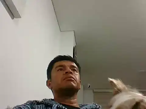 perxxxeo  online show from October 2025 01:38:01 AM