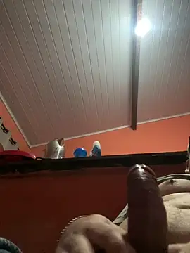 Snapshot of brunogordin69 chatting on September 2025 07:01:02 AM brunogordin69 online show from September 2025 07:01:02 AM