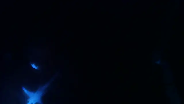 Snapshot of perversalus chatting on May 2026 01:22:01 AM perversalus online show from May 2026 01:22:01 AM