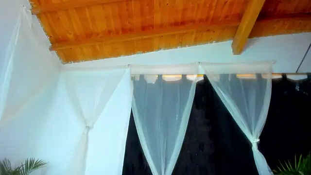 esteveen ortegas  online show from December 2025 06:47:02 PM