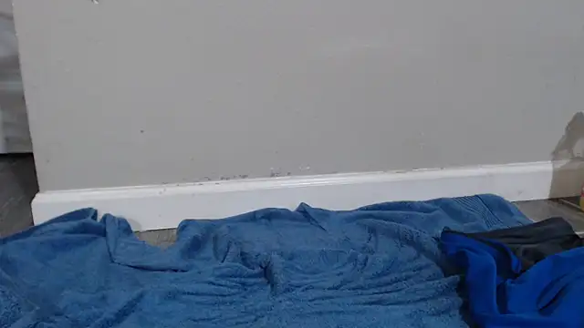 Dogz n daugthers online show from December 2024 06:24:02 AM